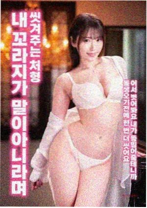 法国文艺片海岸线以北免费观看 海报